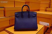 Hermes Birkin 25 In Purple - 5