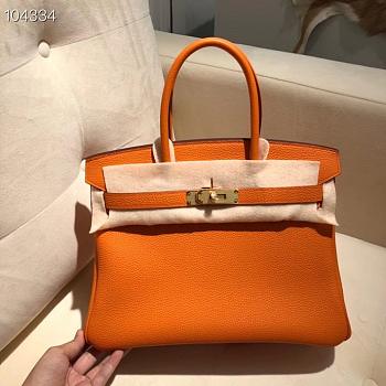 Hermes Birkin 25 In Orange