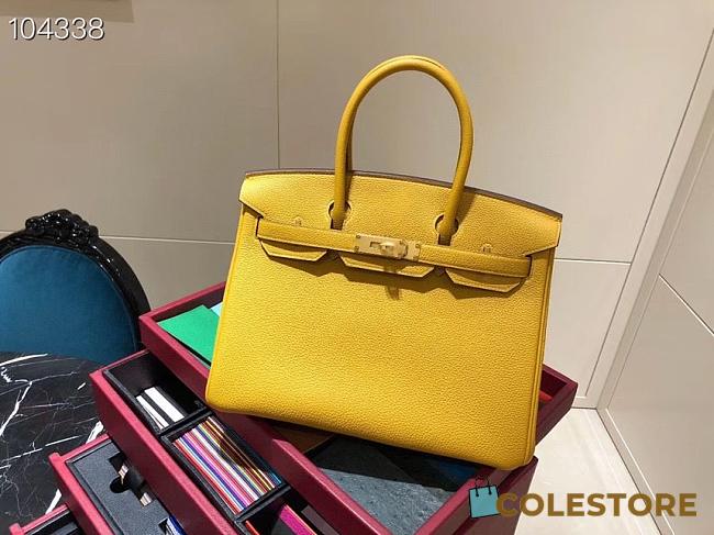 Hermes Birkin 25 In Yellow - 1