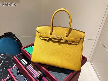 Hermes Birkin 25 In Yellow