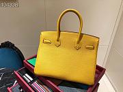 Hermes Birkin 25 In Yellow - 5