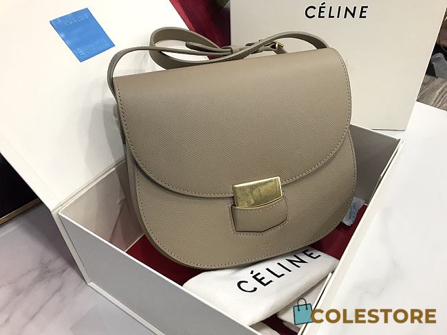 Celine Medium Trotteur Bag In Leather Taupe In Grey 23 cm - 1