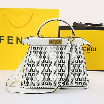 Fendi Peekaboo ISEEU Medium Bag 