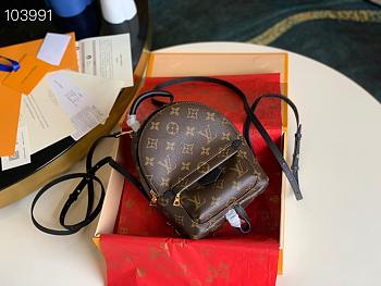Louis Vuitton Palm Springs Backpack Mini Monogram M41562 