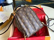 Louis Vuitton Palm Springs Backpack Mini Monogram M41562  - 5