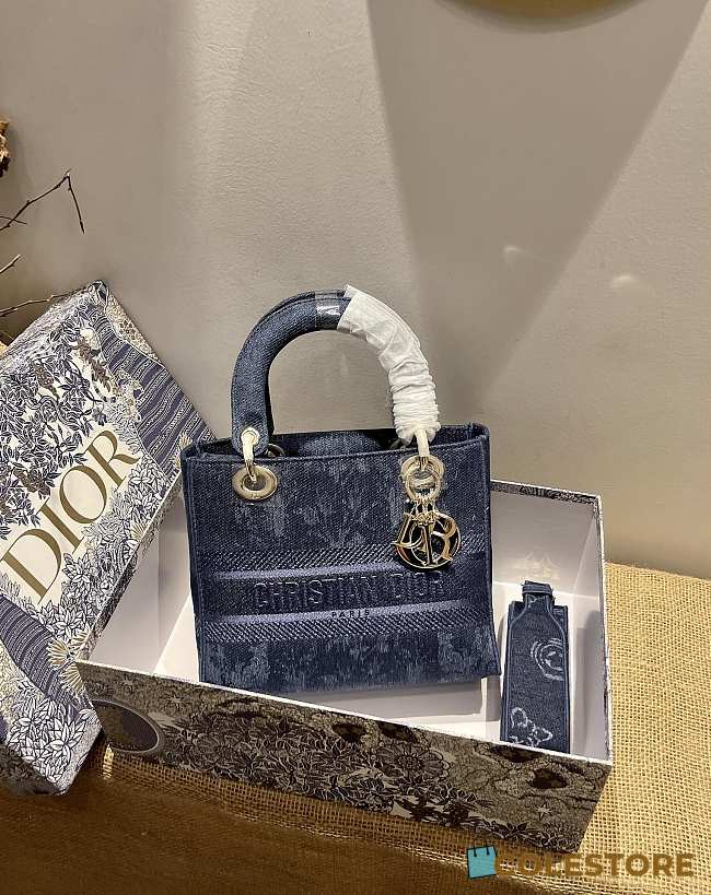 Dior Medium Lady D-lite Blue Embroidery Size 24cm - 1