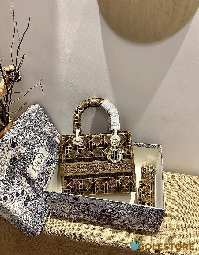 Dior Medium Lady D-lite Brown Embroidery Size 24cm - 1