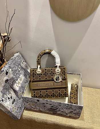 Dior Medium Lady D-lite Brown Embroidery Size 24cm