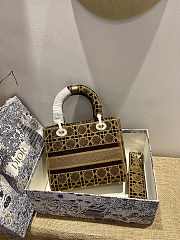Dior Medium Lady D-lite Brown Embroidery Size 24cm - 3