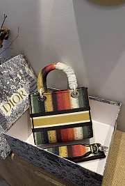 Dior Medium Lady D-lite Multicolor Embroidery Size 24cm - 5