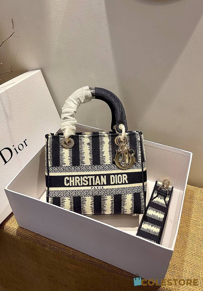 Dior Medium Lady D-lite Stripes Embroidery Size 24cm  - 1