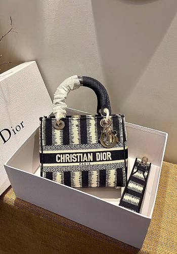 Dior Medium Lady D-lite Stripes Embroidery Size 24cm 