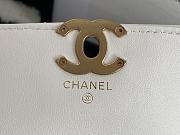Chanel Mini Large Chain Around Bag AS2833 - 5