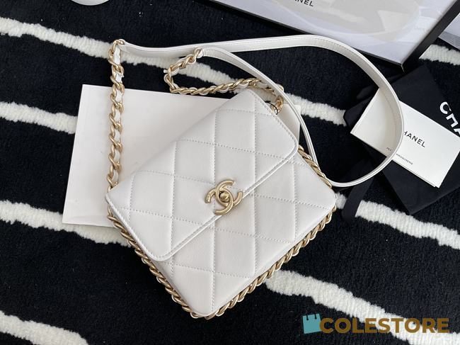 Chanel Small Large Chain Around Bag Style AS2831 - 1