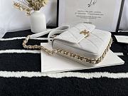 Chanel Small Large Chain Around Bag Style AS2831 - 5