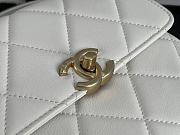 Chanel Small Large Chain Around Bag Style AS2831 - 3