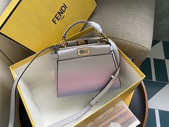 Fendi Peekaboo Multicolor Size 23cm