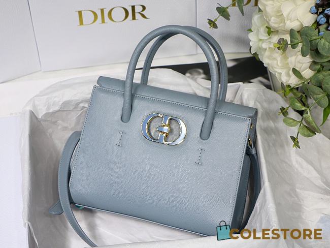Dior Honoré Handbag In Blue M8012  - 1