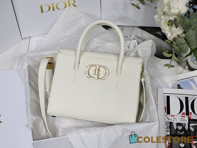 Dior Honoré Handbag In White M8012 - 1