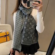 Louis Vuitton Scarf - 3