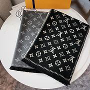 Louis Vuitton Scarf - 5