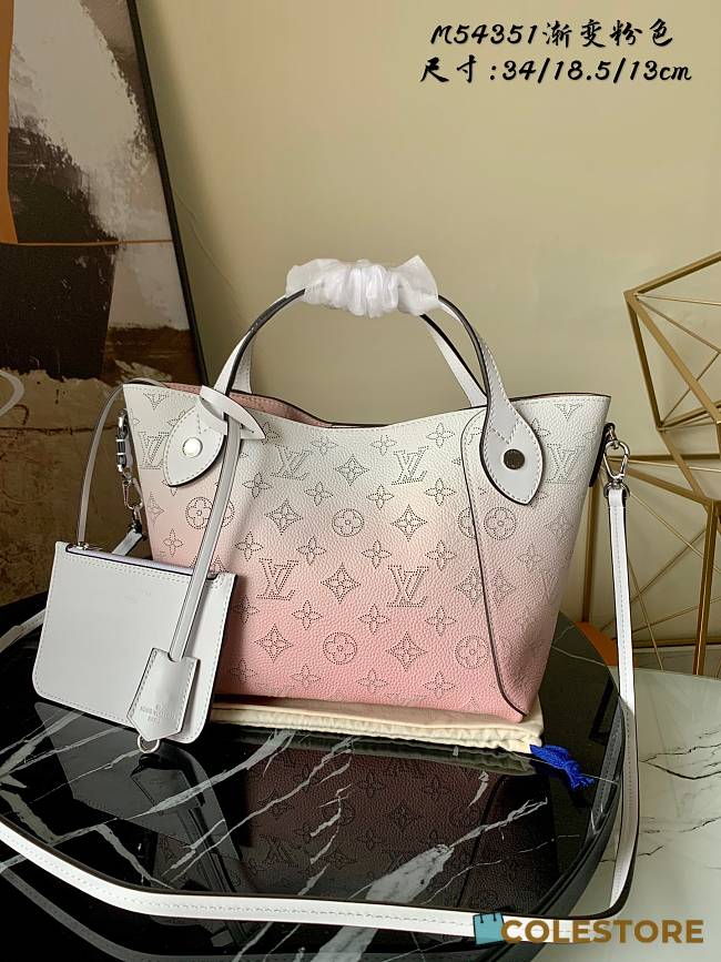 Louis Vuitton Hina Gradient Bag M54351 - 1