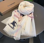 Burberry Scarves |001 - 1