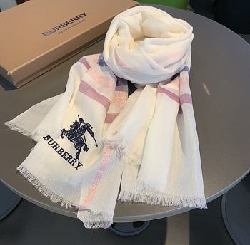 Burberry Scarves |001