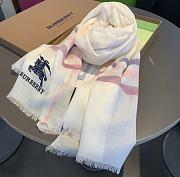 Burberry Scarves |001 - 5