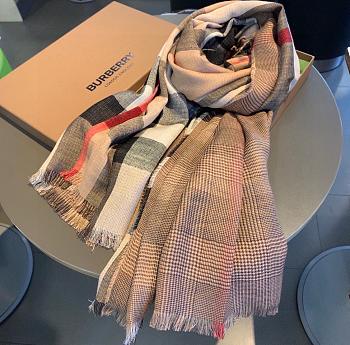 Burberry Scarves| 002