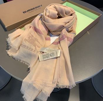 Burberry Scarves |005