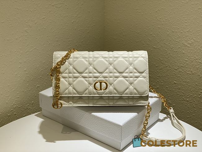 Dior Caro Belt Pouch With Chain Size S5091 20x11.5x3.5cm - 1
