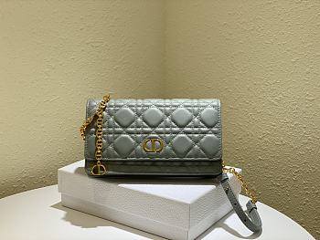 Dior Caro Belt Pouch With Chain Grey Supple Cannage CalfskinSize S5091 