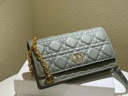 Dior Caro Belt Pouch With Chain Grey Supple Cannage CalfskinSize S5091  - 5