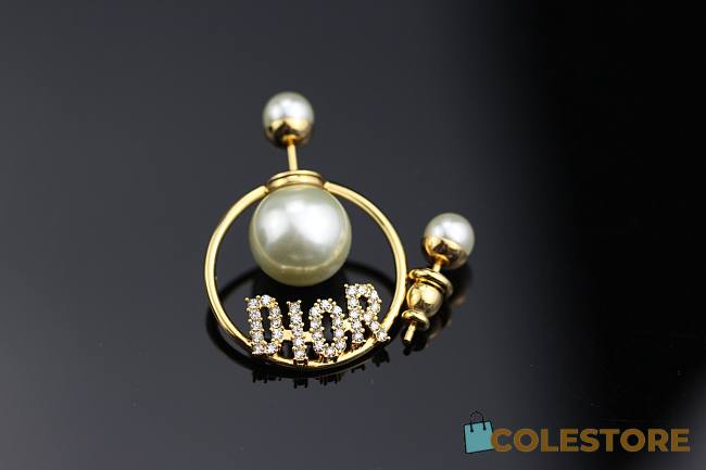 Dior Antique Earings - 1