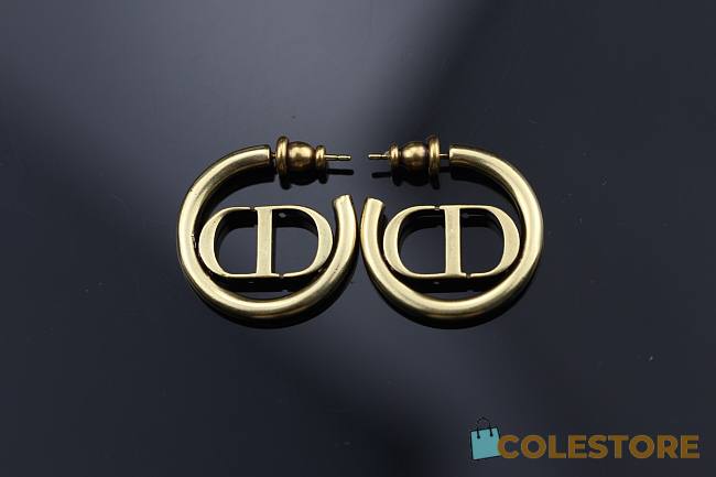 Dior CD Earings - 1