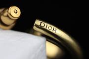 Dior CD Earings - 4