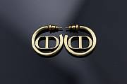 Dior CD Earings - 3