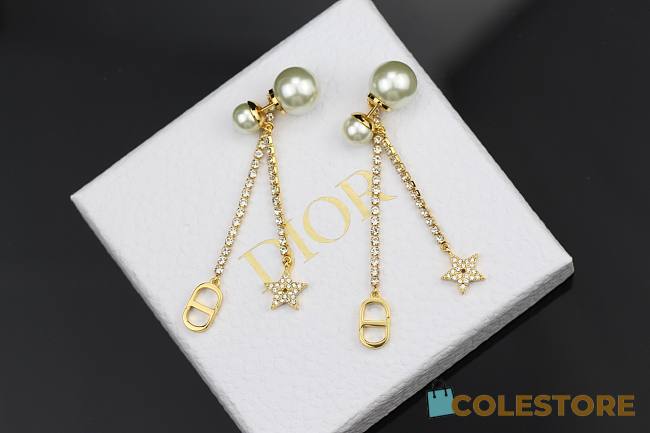 Dior Earing  - 1