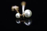 Dior Earing  - 3