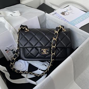 Chanel Small Fap Bag AS2798