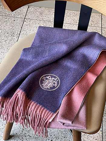 Hermes Scarves 002
