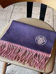 Hermes Scarves 002 - 5
