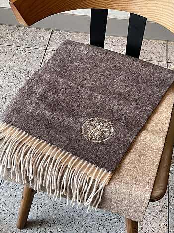 Hermes Scarves 003