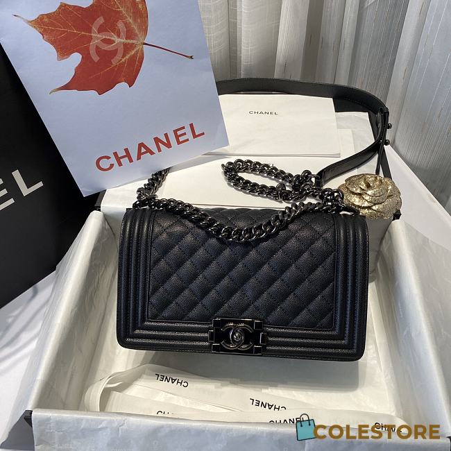 Chanel Le Boi Classic Bag 67086  - 1