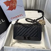 Chanel Le Boi Classic Bag 67086  - 1