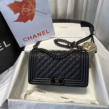 Chanel Le Boi Classic Bag 67086 