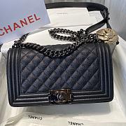 Chanel Le Boi Classic Bag 67086  - 4