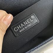 Chanel Le Boi Classic Bag 67086  - 2
