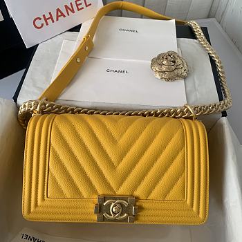 Chanel Le Boi Chervon Classic Bag 67086 Size 25cm